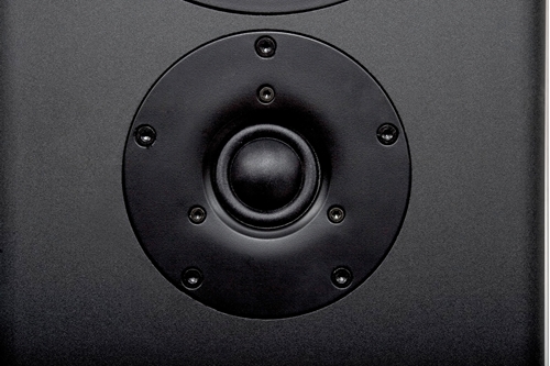 TFE100 Home Theater Cabinet Speaker Tweeter Detail