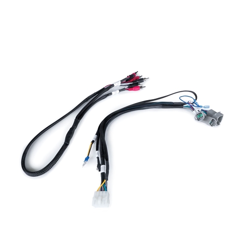 AWMC3 Wire Harness